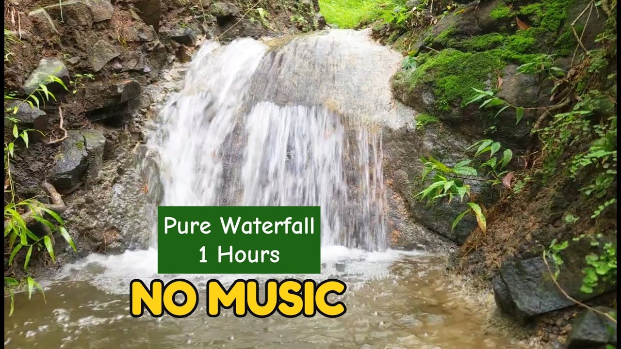 Relaxing Waterfall Sounds for Deep Sleep & Study | 1 Hour Pure Nature ASMR (No Music)