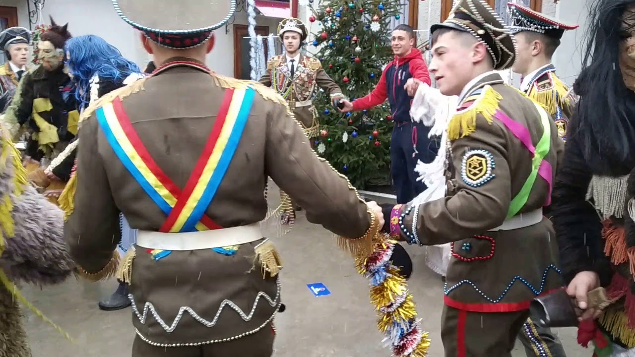 malanca trebisaut 2019
