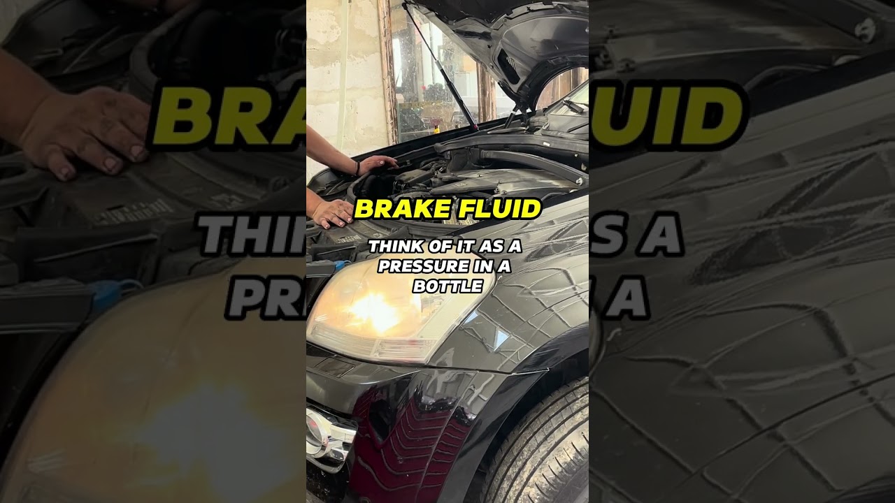 What Every Car Fluid Really Does? | VALVOLINE