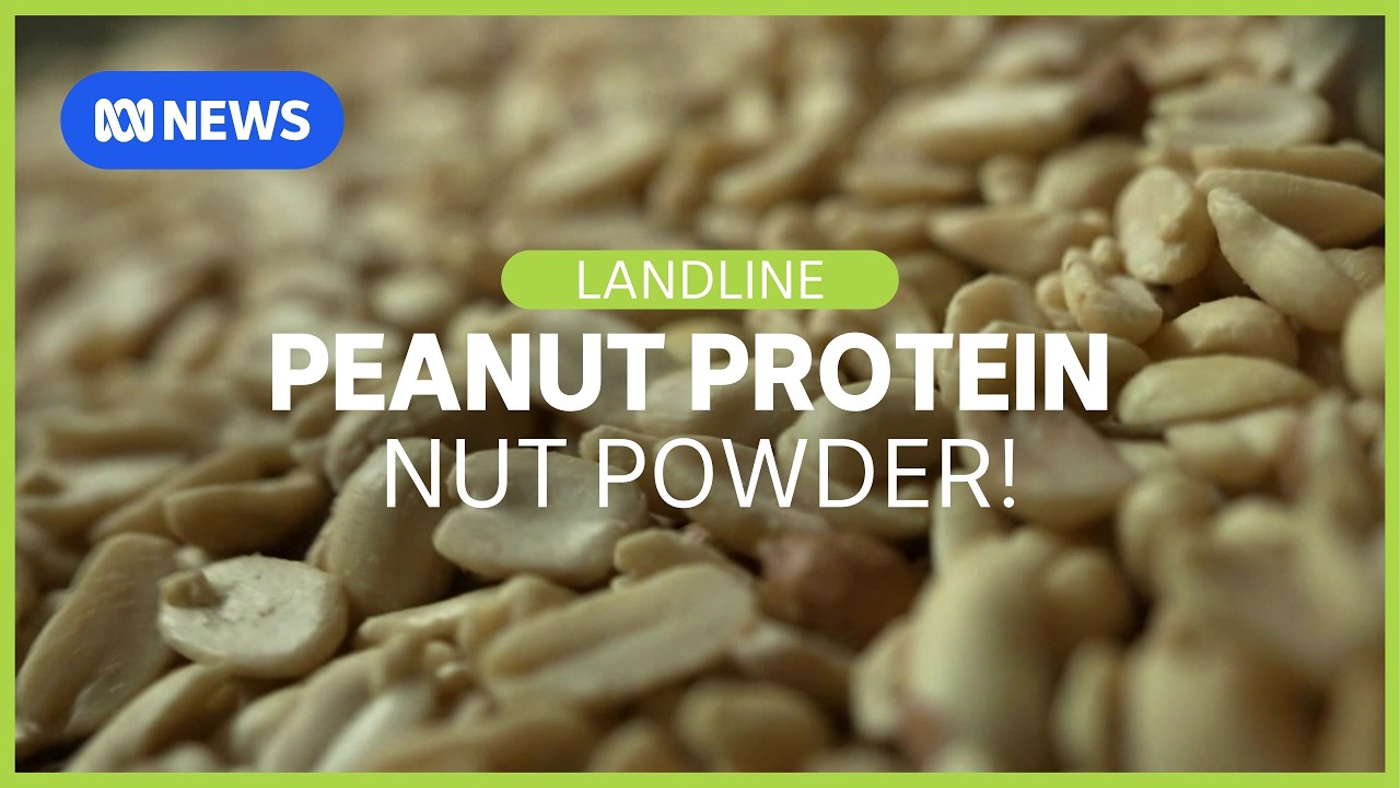 Peanuts just got a high‑protein upgrade | Landline | ABC NEWS