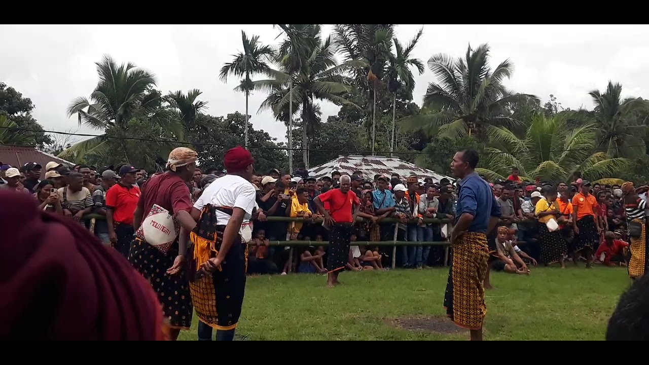 Rio du'a vs hoga malanuza tinju adat rowa wolopogo2026