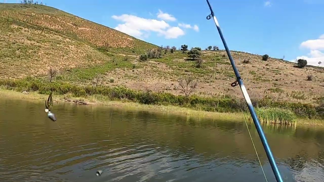 Pesca del Black Bass en dos lugares nuevos