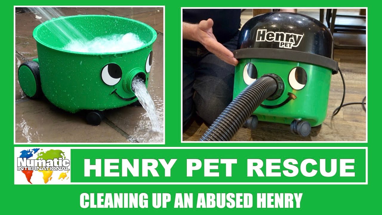 Rescuing An Abused Henry Pet Vacuum Cleaner