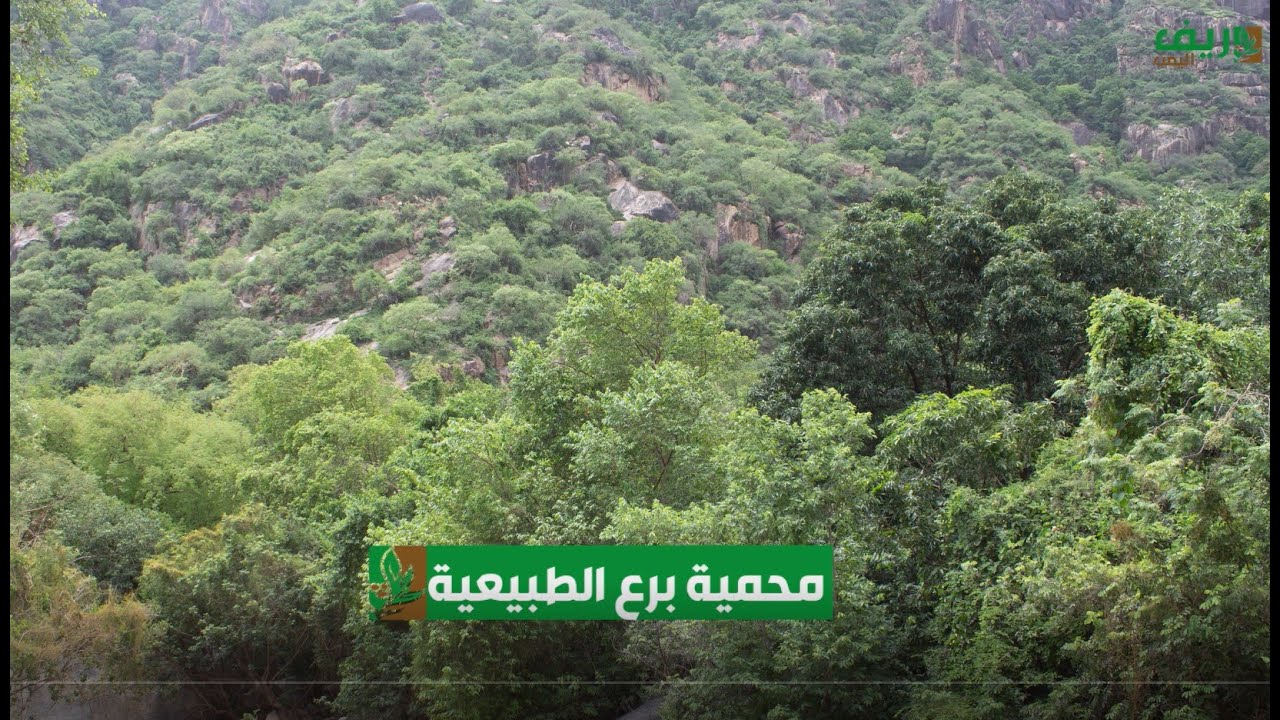 محمية برع الطبيعة في اليمن
