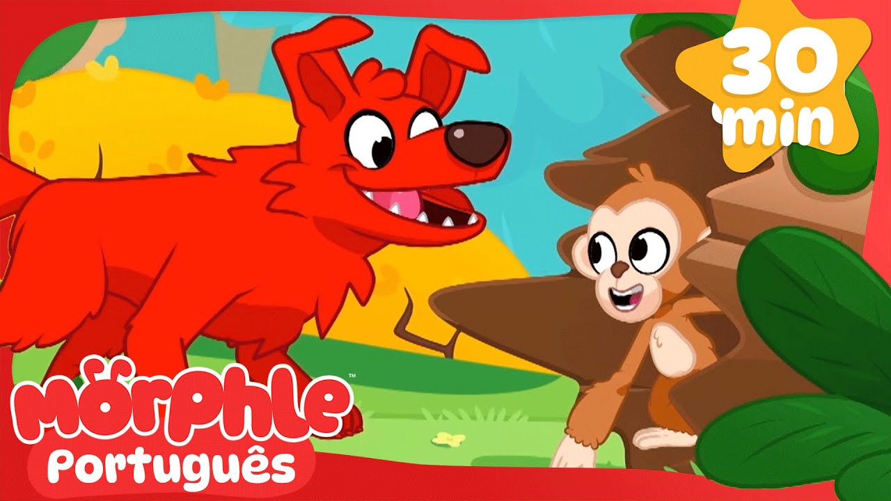 Passeio escolar do Morphle para a floresta | 🔴 MARATONA DO MORPHLE! 🔵 Desenhos Animados Infantis