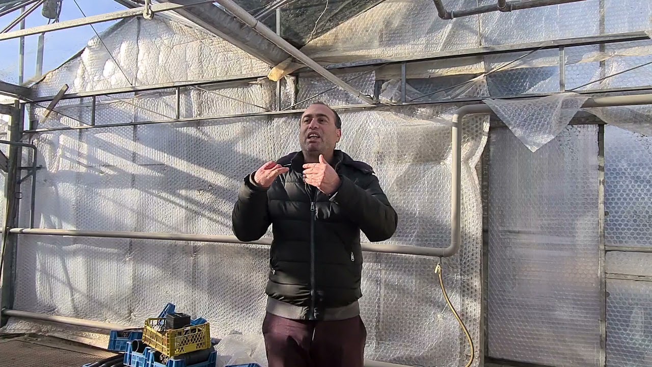 كيف تحصل على بيوت محميه لزراعه النباتات في المانيا؟