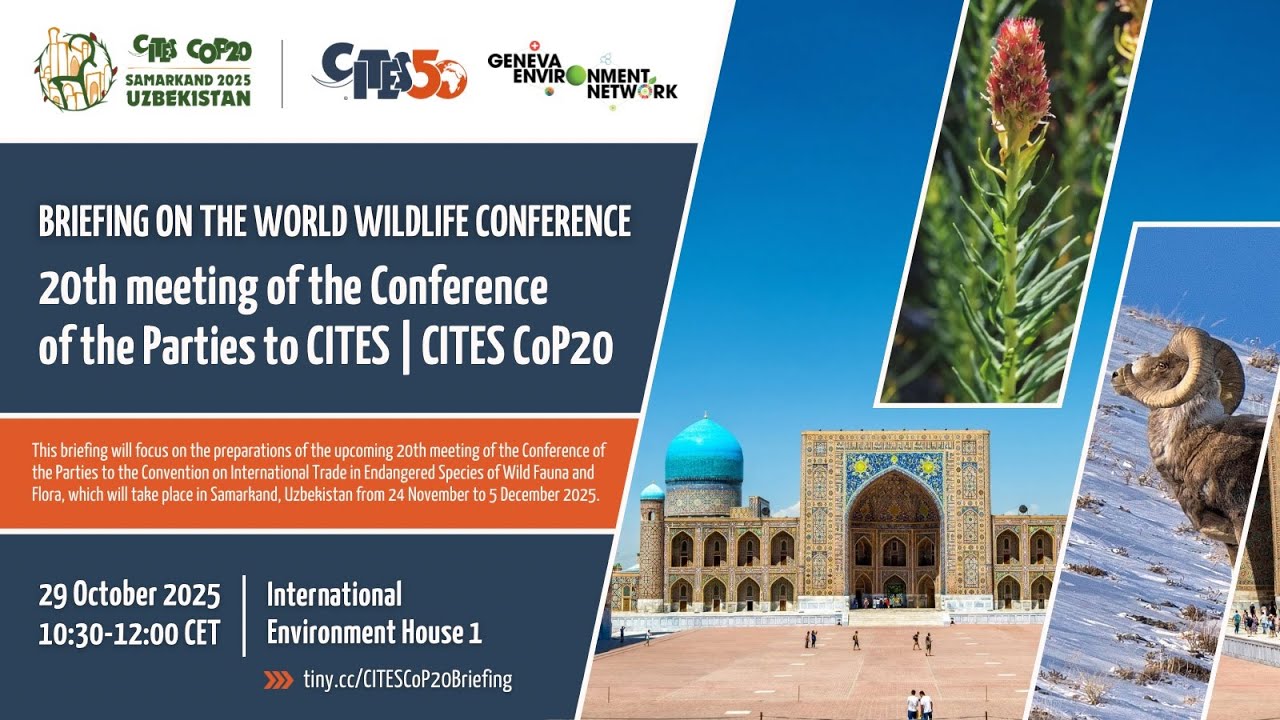 Briefing on the World Wildlife Conference | 20th meeting of the Conference of the Parties to CITES