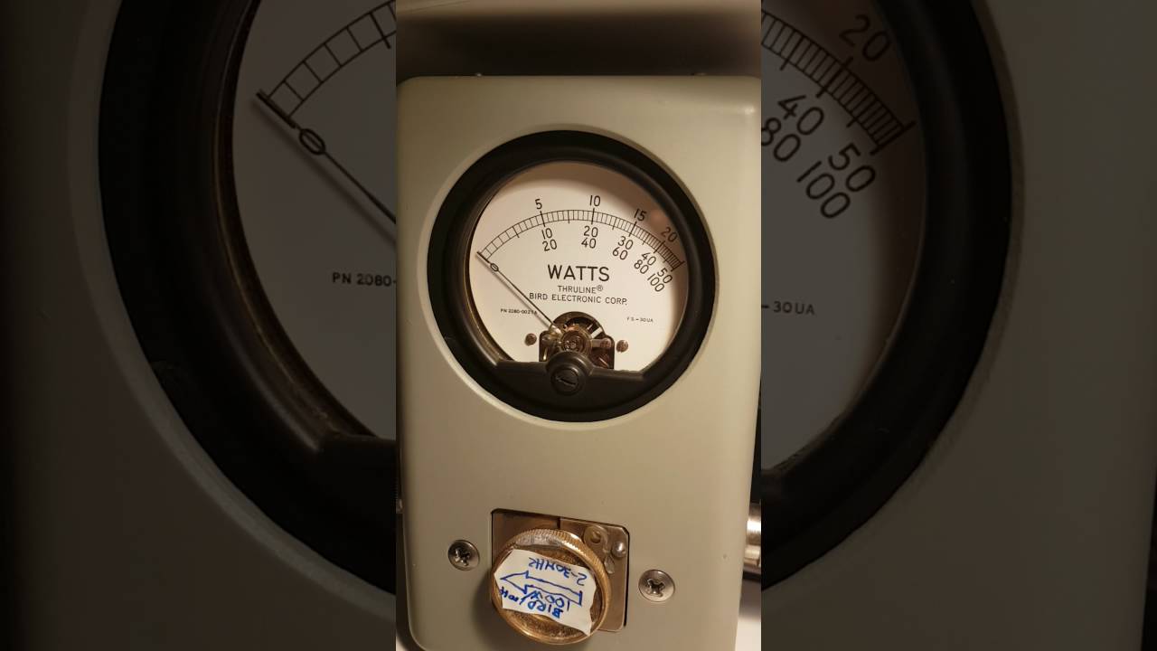 BIRD Thruline 43