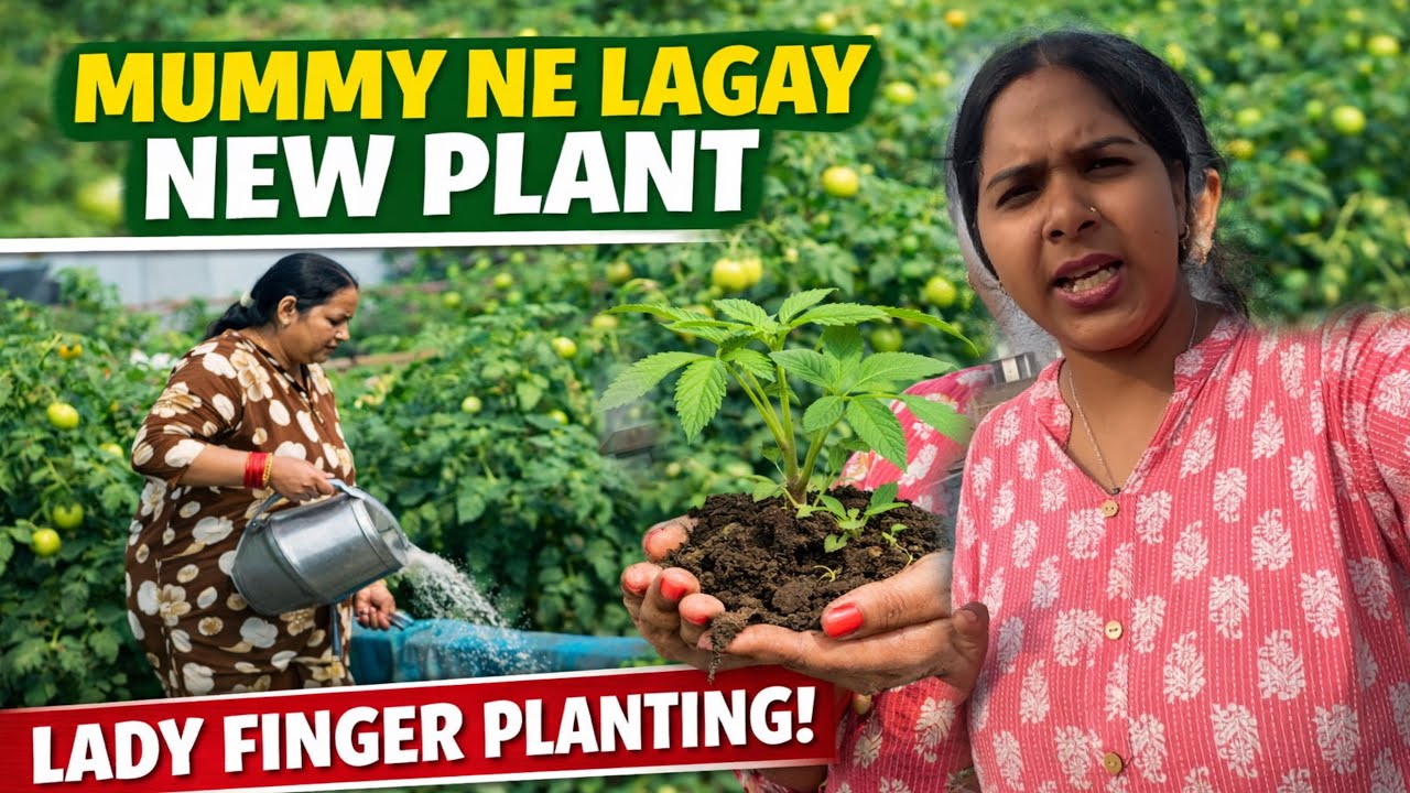 Ghar Me Bnaye Organic Khad☘️// Mummy Ne Bataya Healthy Sabji Ugane K Raaj🎋// #youtube #viralvideo 