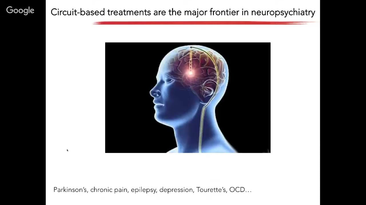Mapping the Brain (Transcending Biology)