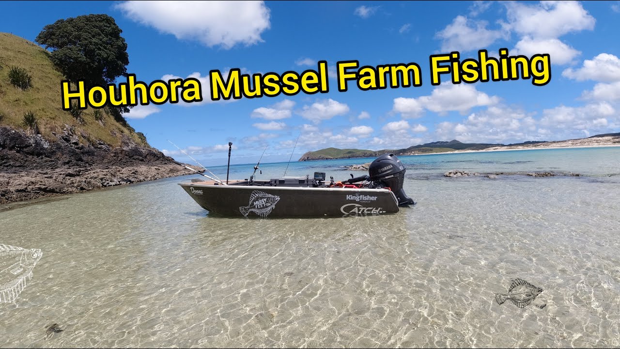 Houhora Mussel Farm Fishing With Nova