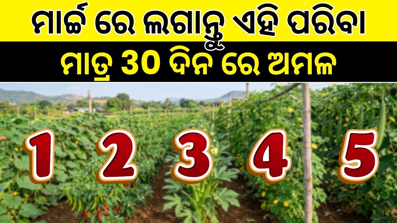 ମାର୍ଚ୍ଚରେ ଲଗାନ୍ତୁ ଏହି 5 ପରିବା 🌱 30 ଦିନରେ ଅମଳ | କେଉଁଟି ଦେଉଛି ସବୁଠୁ ଭଲ ଦର | Top 5 High Profit Crops