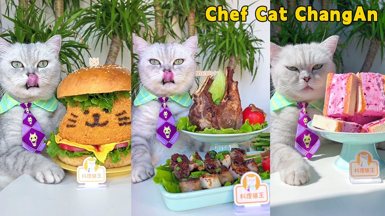 Join Me For The Warmest Food Videos Of Winter 2023!🤗🥘|Cat Cooking Food|Cute And Funny Cat