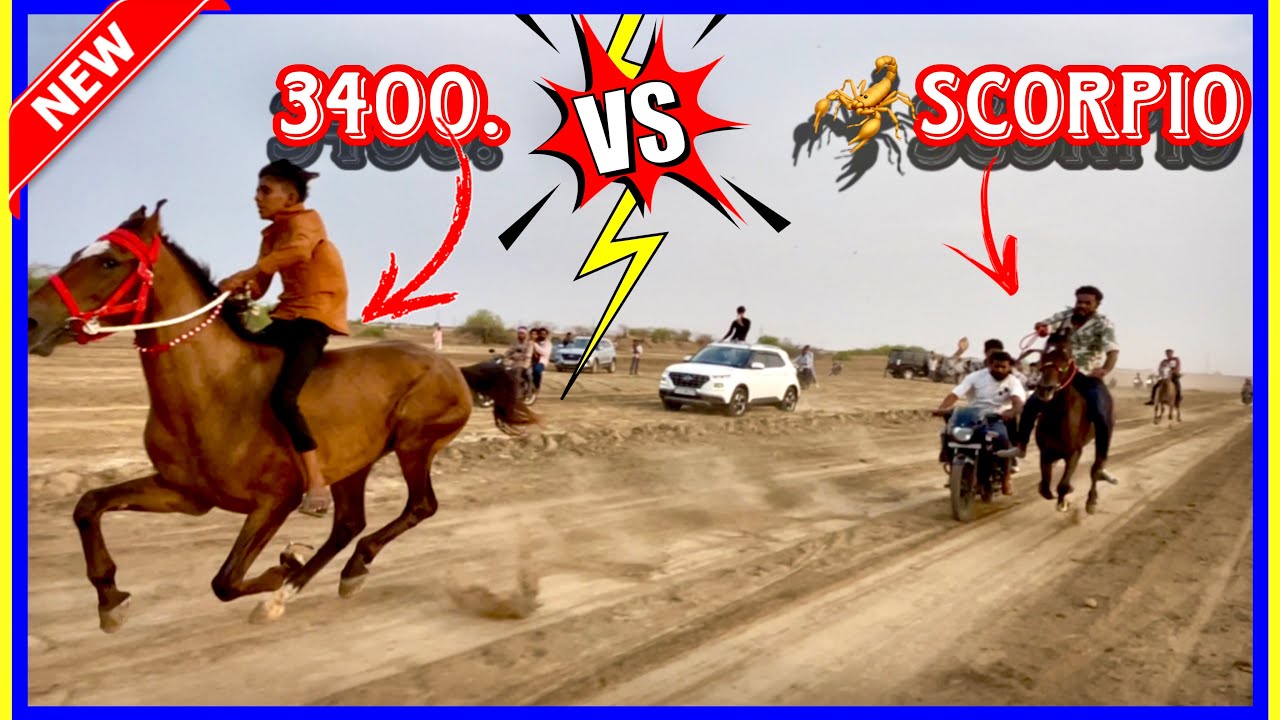 वाराही हॉर्स रेस 3400 🆚🦂scorpio ki जबर जस्त रेस | 14 | 06| 2025| #horserace #horse