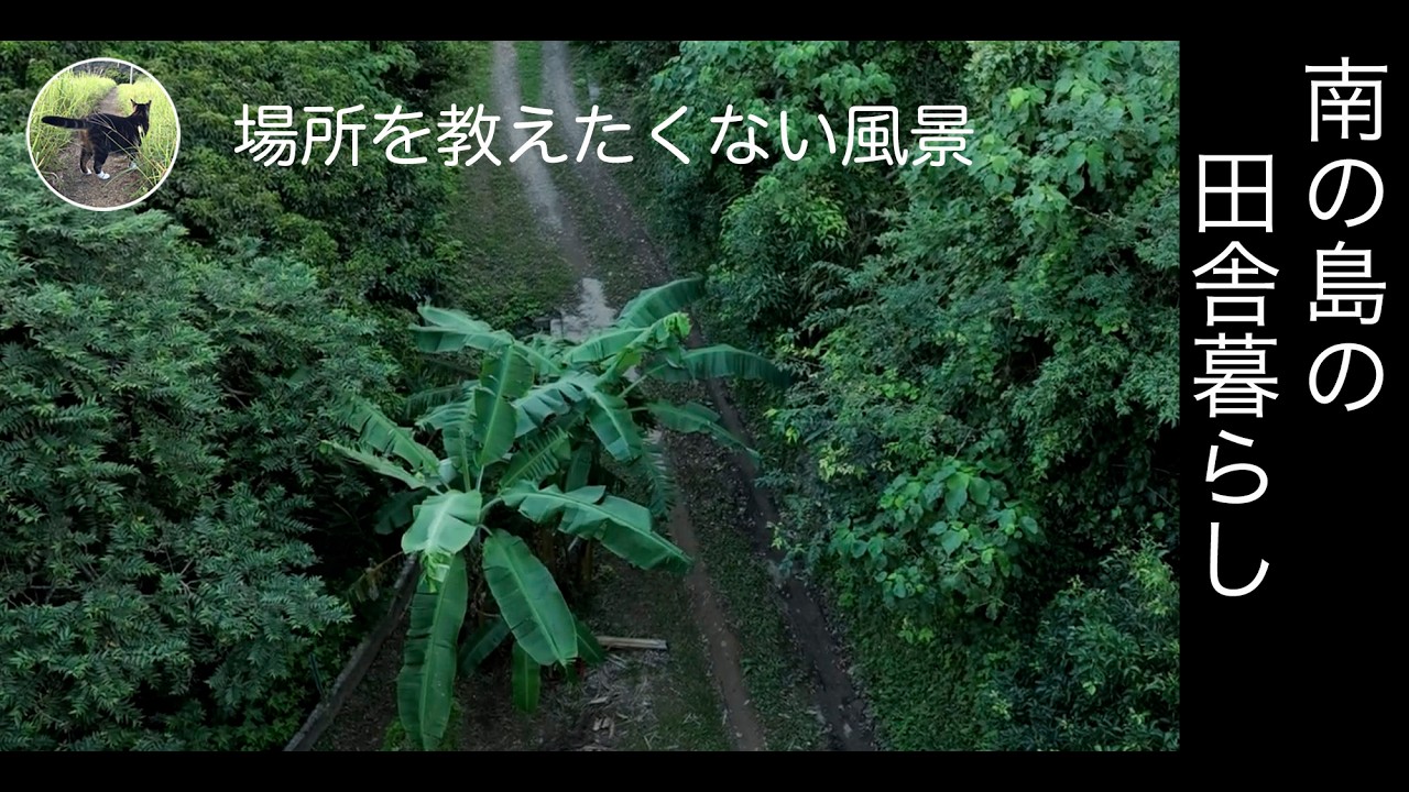 場所を教えたくない風景。奄美大島に移住。観光地ばかりが奄美ではない。