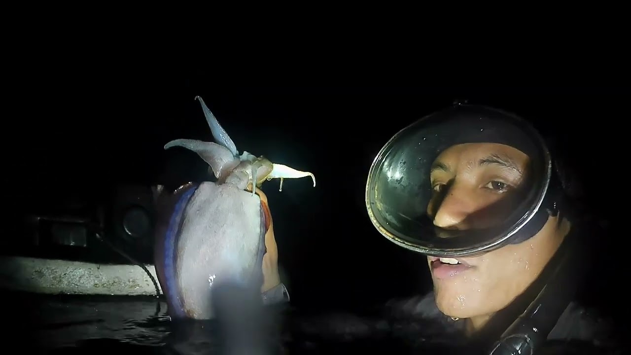EP12: BUMUHOS ANG BIYAYA SA GABING ITO #spearfishing #viral #danielfishingadventure