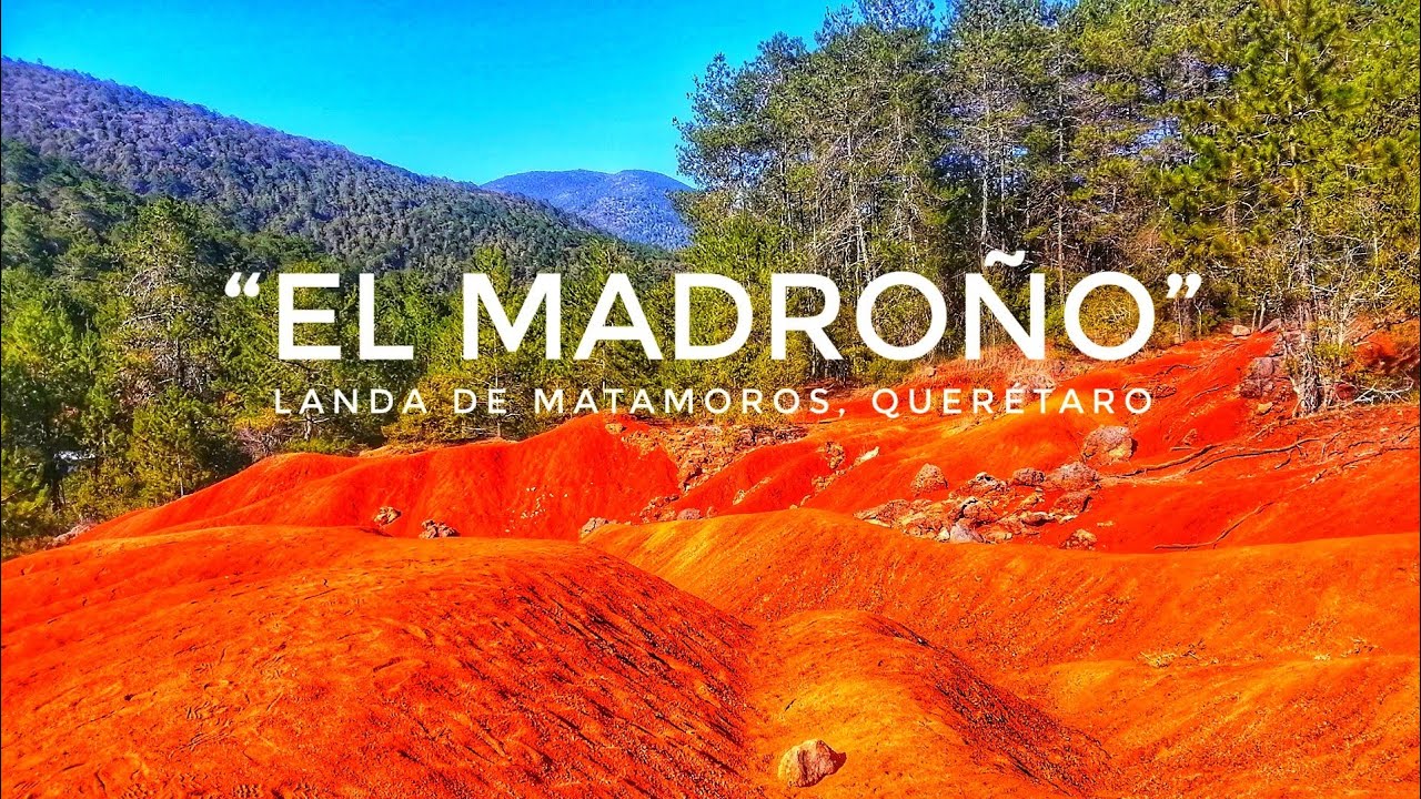 😱 FÓSILES MARINOS DE HACE 112 MILLONES DE AÑOS EN EL MADROÑO