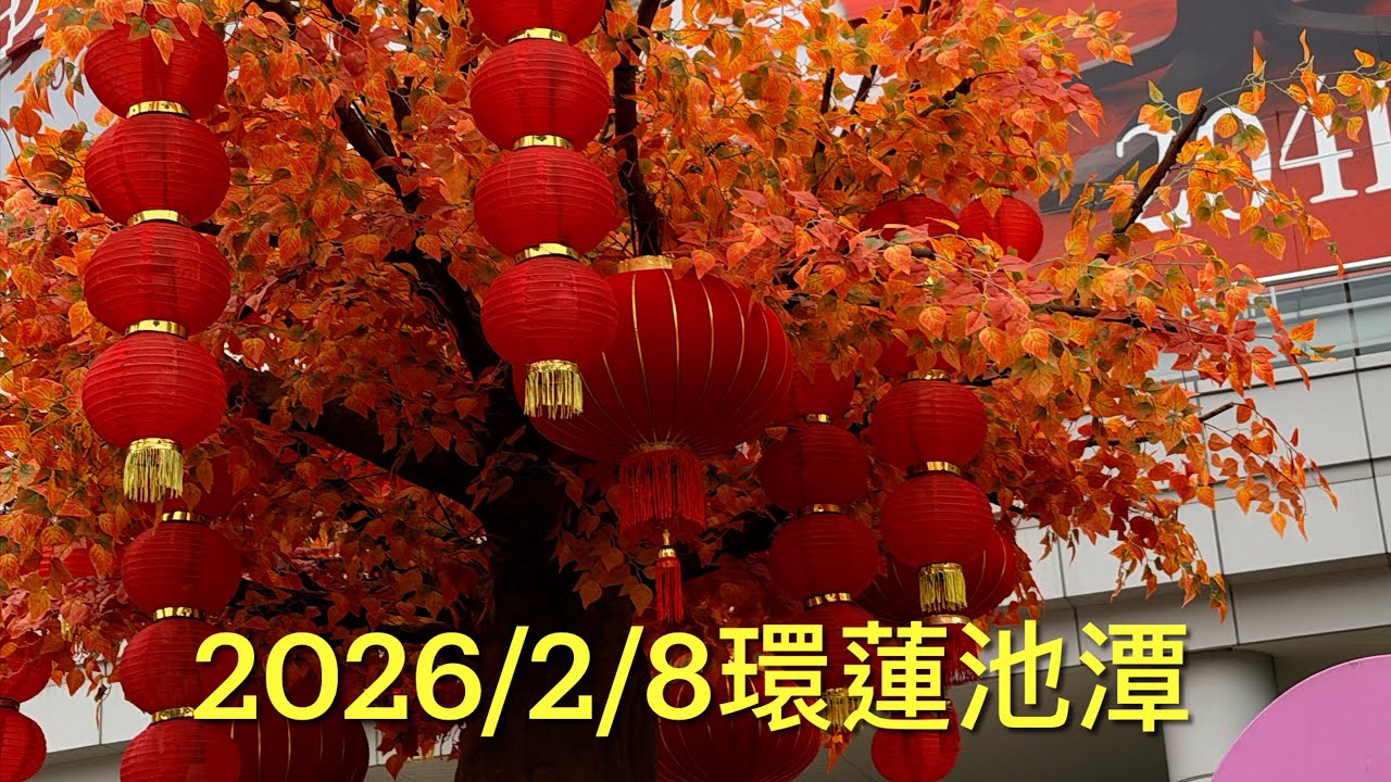 涼爽的早晨，過年前的最後一個週日，走走蓮池潭是一個不錯的選擇，寧靜的湖畔，運動著的老老少少；湖邊早市，熙攘的人潮趕辦年貨，川流不息，年味十足。