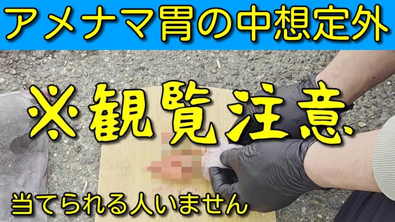【霞ヶ浦】深場よりも深い胃袋の中身！想定外の衝撃！タットリタン