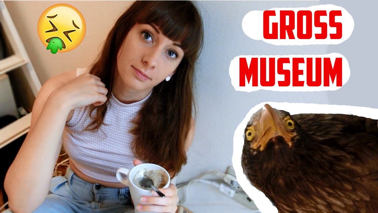 A Day in my Life in Tokyo! Bad Taxidermy, Gross Exhibitions, and Foooood