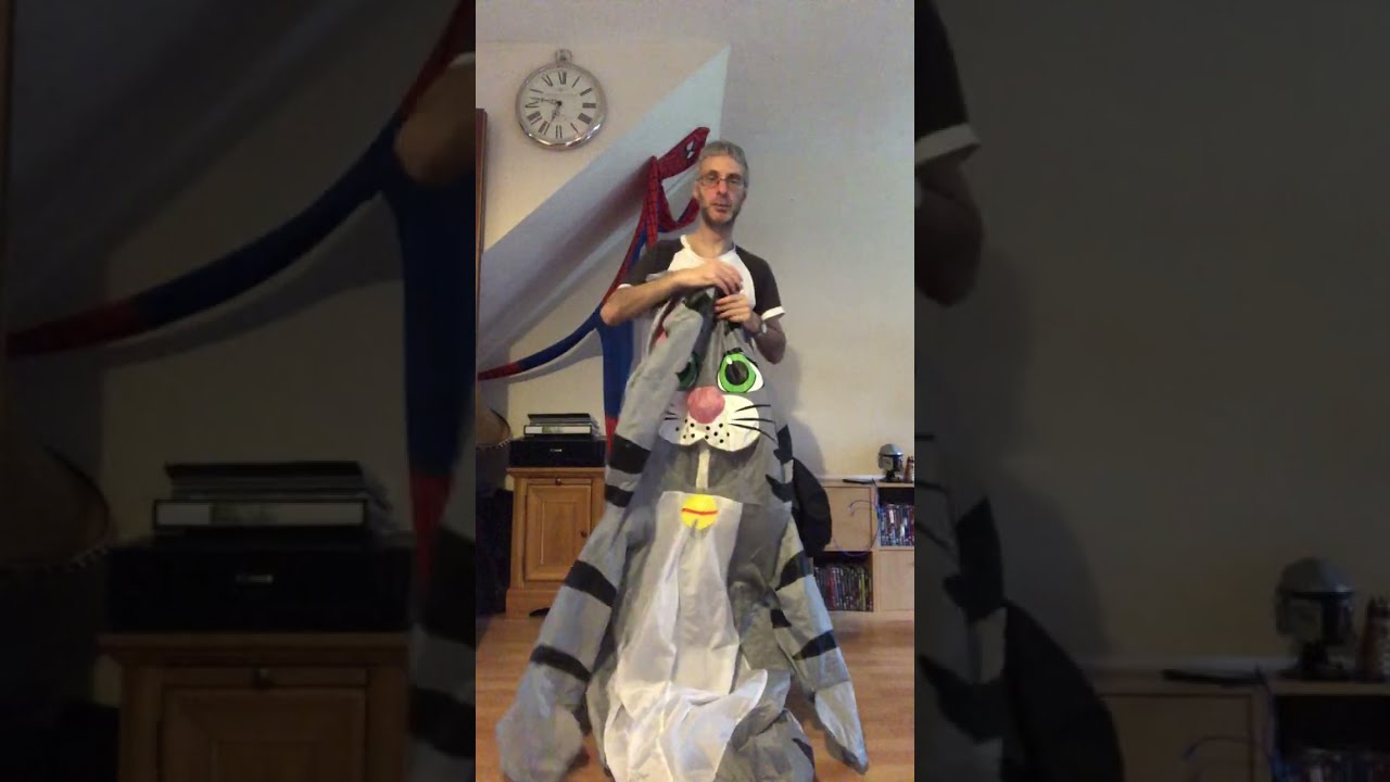 Inflatable Cat Mascot Costume Modifications To Tom 13th February 2026 Part 3