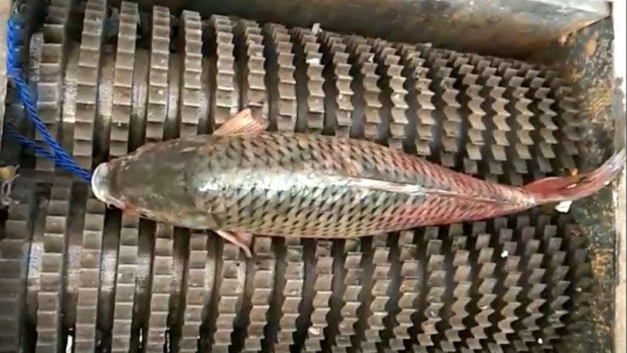 Amazing Machines and Tools Operating At An INSANE LEVEL ▶ 21