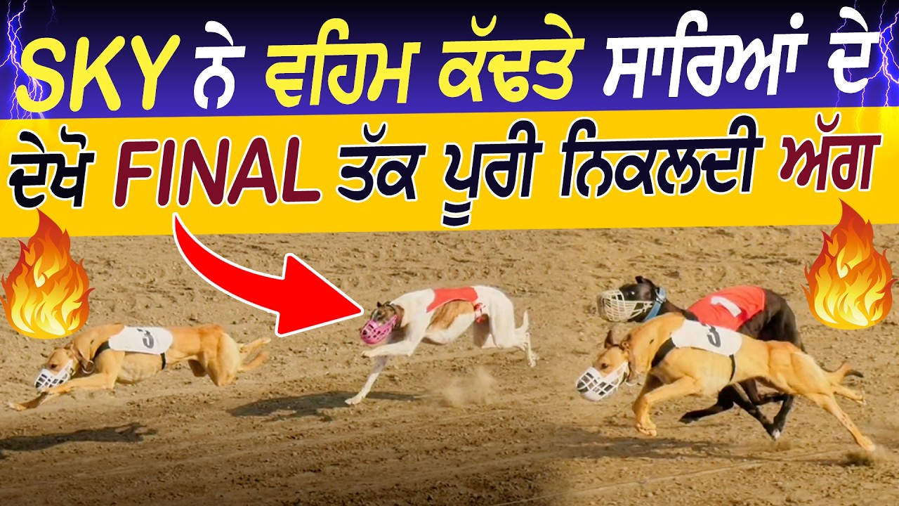🔥SKY ਨੇ ਵਹਿਮ ਕੱਢਤੇ ਸਾਰਿਆਂ ਦੇ 🔥ਦੇਖੋ  FINAL ਪੂਰੀ ਨਿੱਕਲਦੀ ਅੱਗ | SKY BEST RACES | 2026