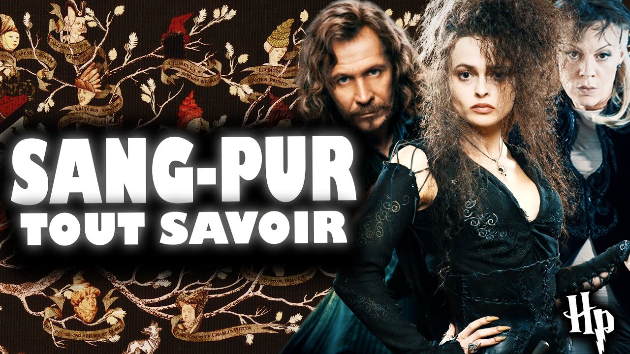 LA VÉRITÉ SUR LES SANG-PUR ET LES 28 SACRÉS DANS HARRY POTTER !