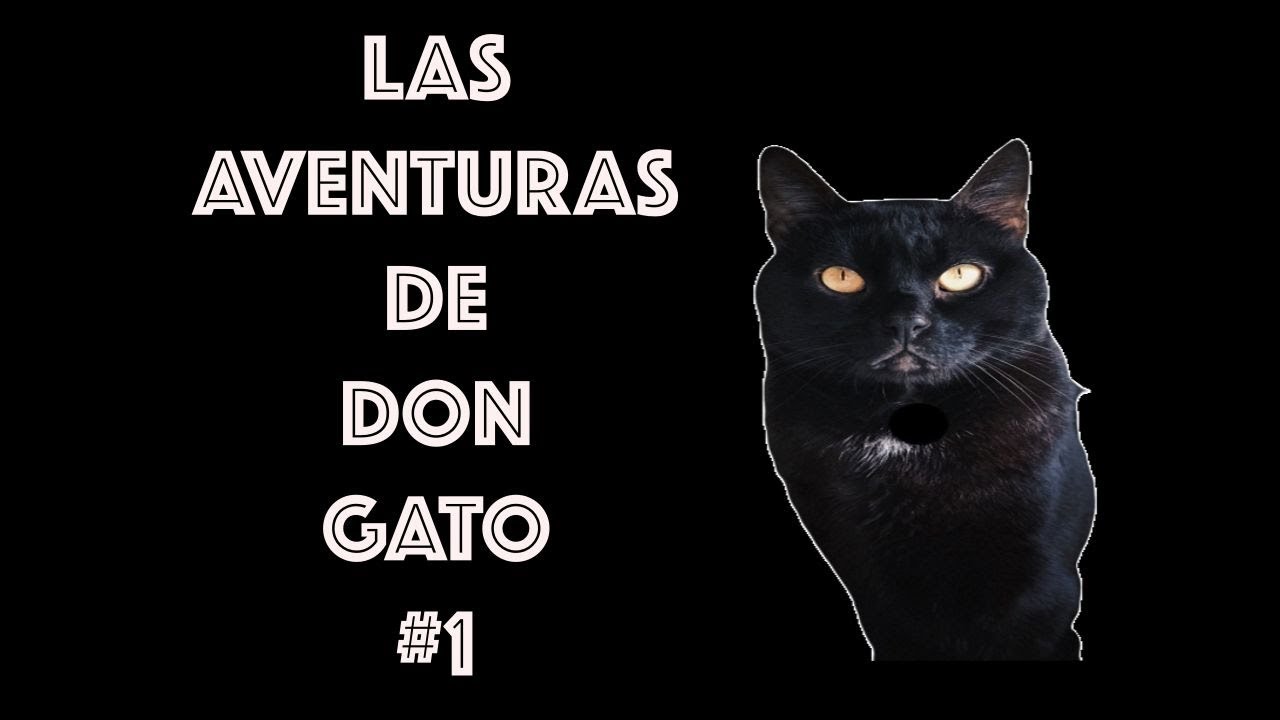 LAS AVENTURAS DE DON GATO #1