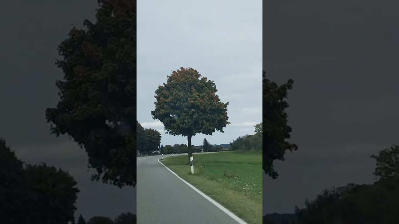 Roadtrip to Bavaria/Germany in Autumn 🍂🍁
