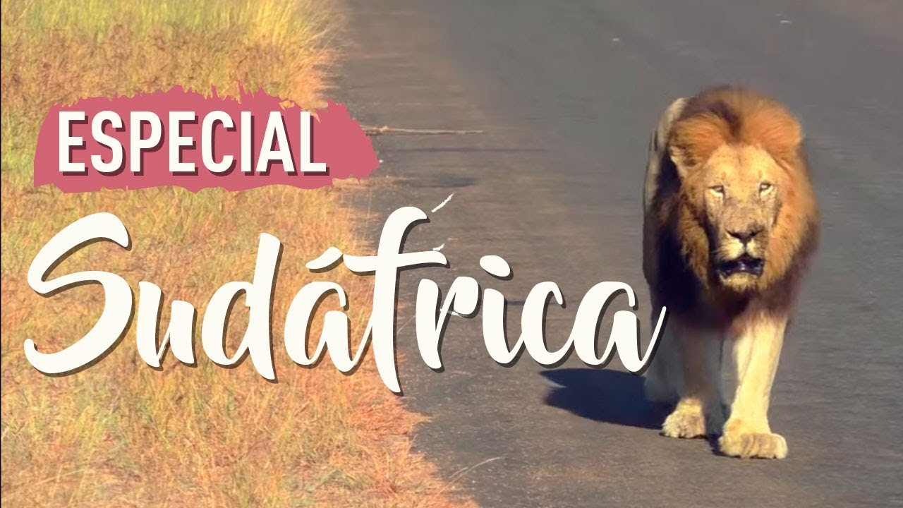 BUEN VIAJE - Especial Sudáfrica en Kruger Park