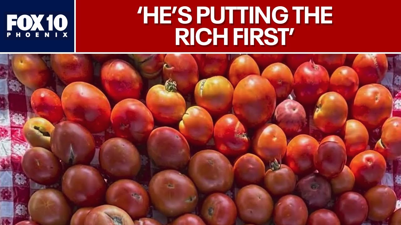 Tomato duty divides consumers and Arizona farmers | FOX 10 Phoenix