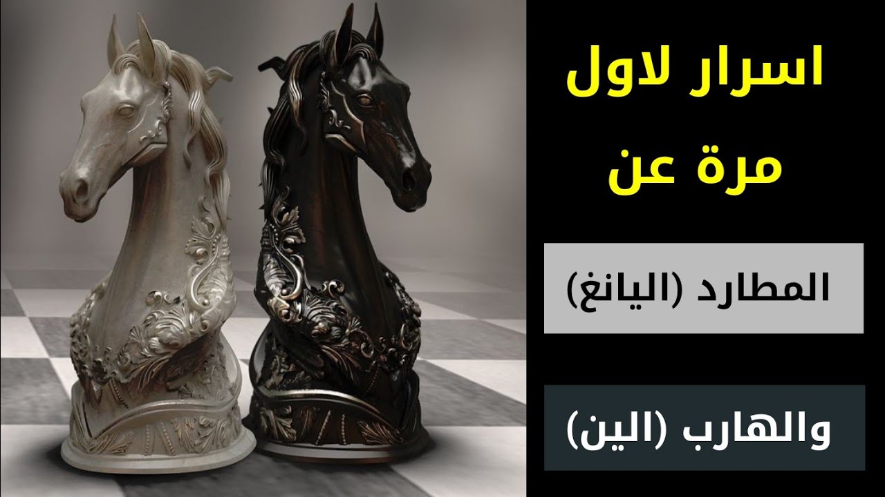 اسرار لاول مرة عن المطارد (اليانغ) والهارب (الين)