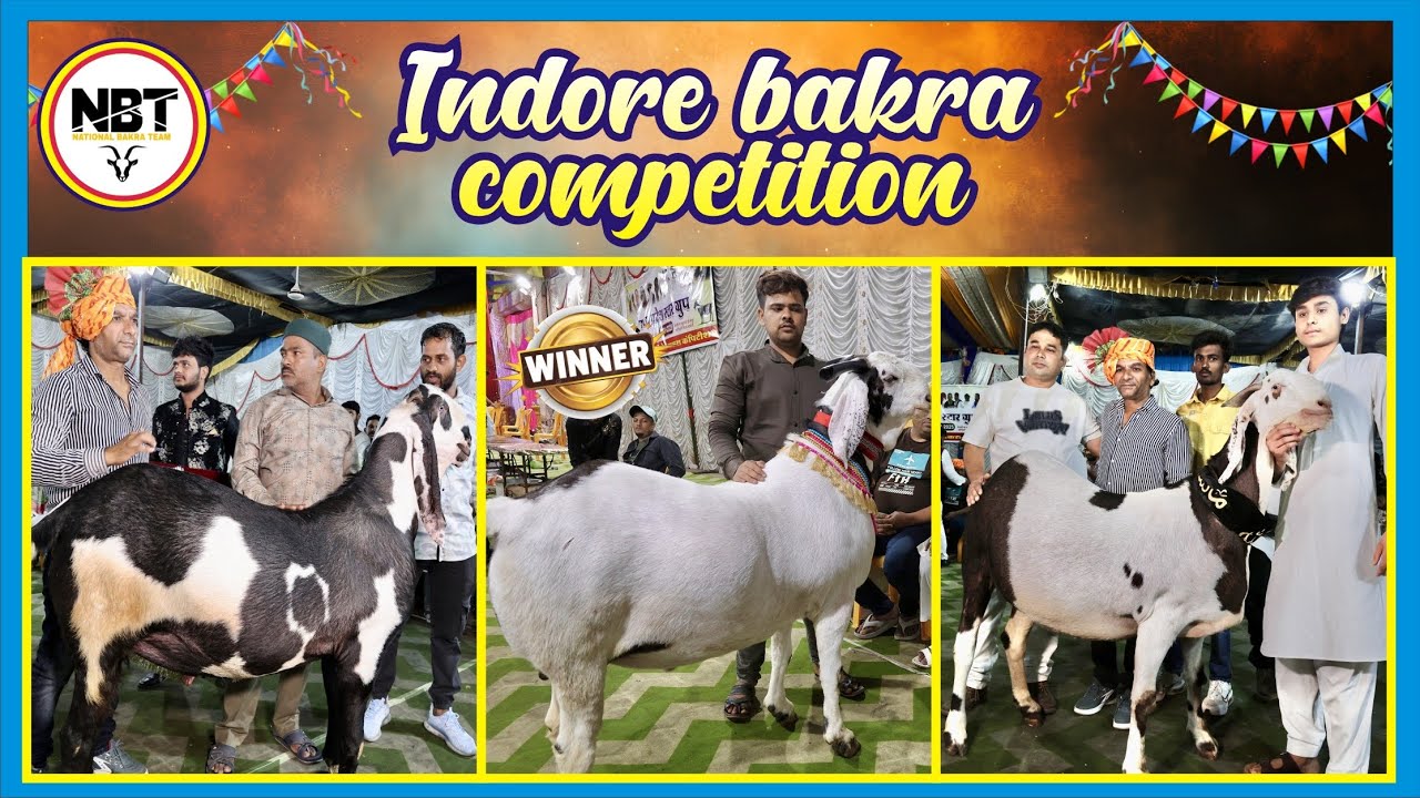 Indore Heavyweight Bakra Competition Must Watch