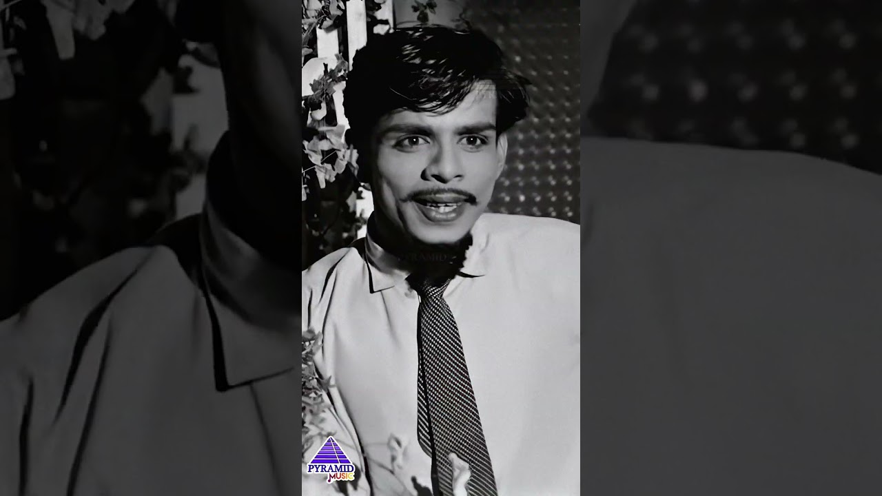 Andru Vandhadhum Video Song | Periya Idathu Penn Movie Songs | MGR | Saroja Devi | 