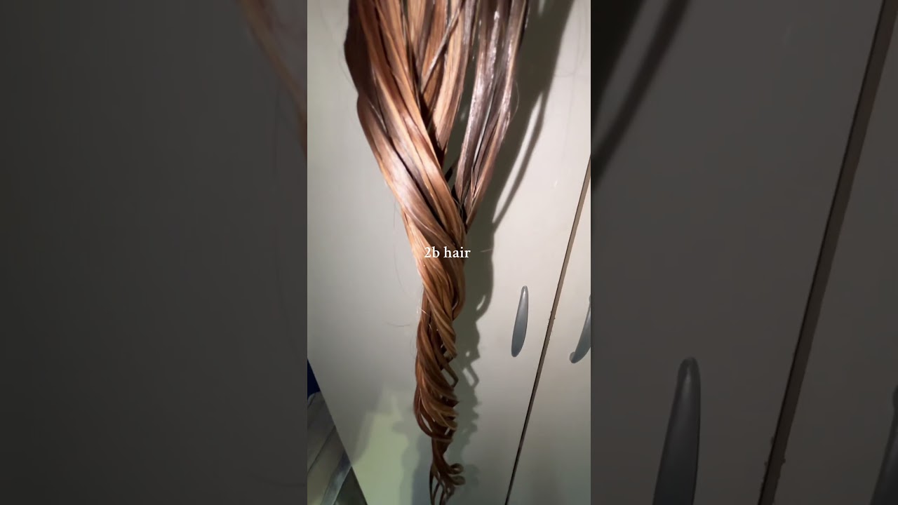 My 2b hair