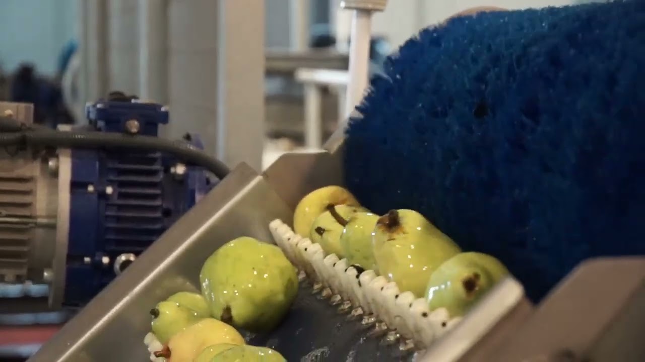 2023 -  AGRARIA MONTOLIU (SPAIN) - Freeroller 2L - Limonera Pears