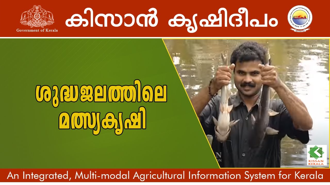 ശുദ്ധജലത്തിലെ മത്സ്യകൃഷി : A success story