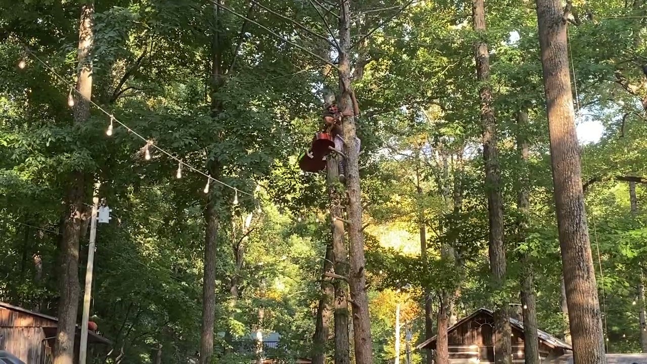 World Record Cello Tree Climb with @rushadicus