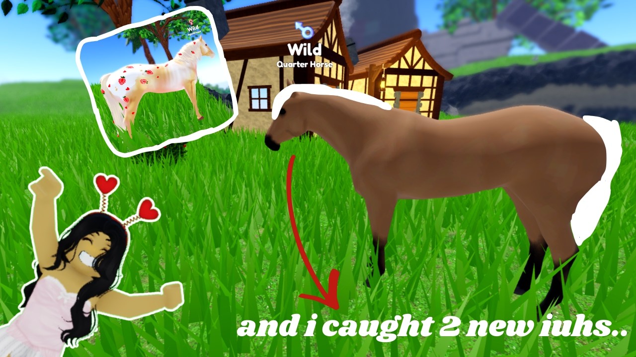 Охота за событиями ко Дню святого Валентина на островах диких лошадей... || ROBLOX