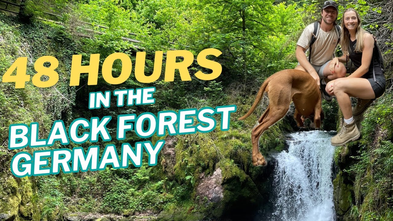 48 hours living in our van in The Black Forest | Travelling in Germany | Van Life
