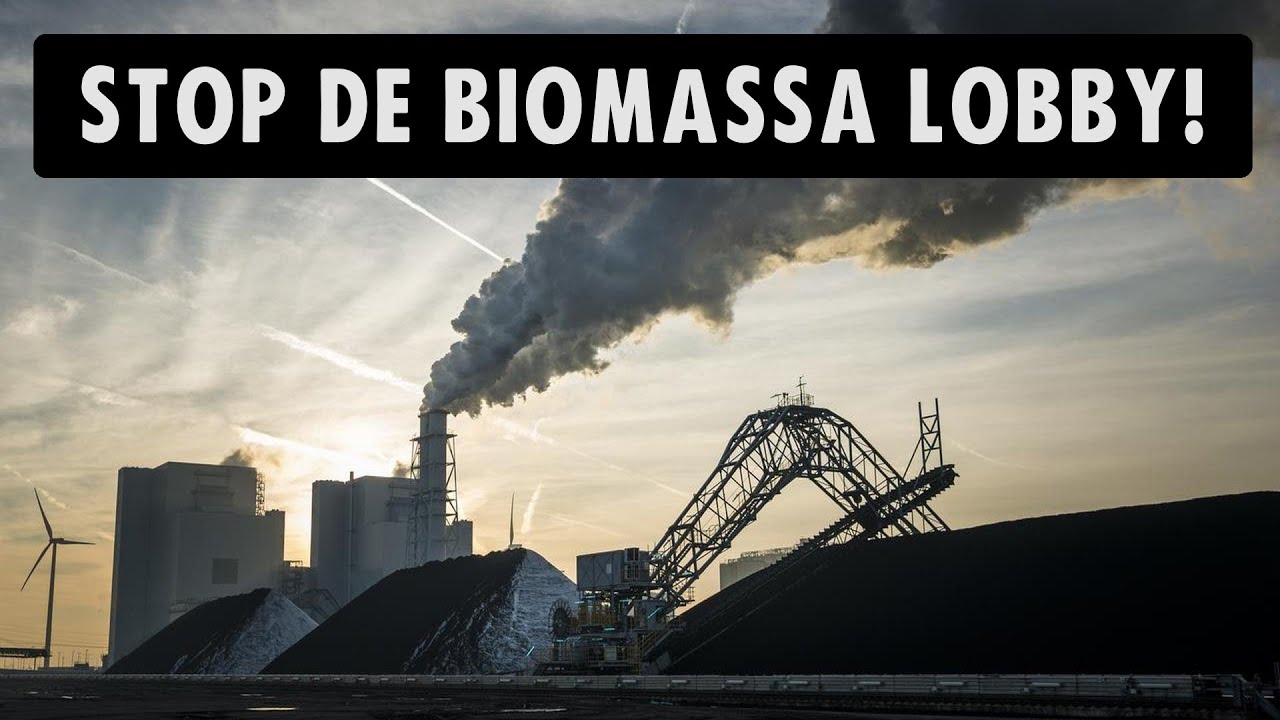 Stop de Biomassalobby!