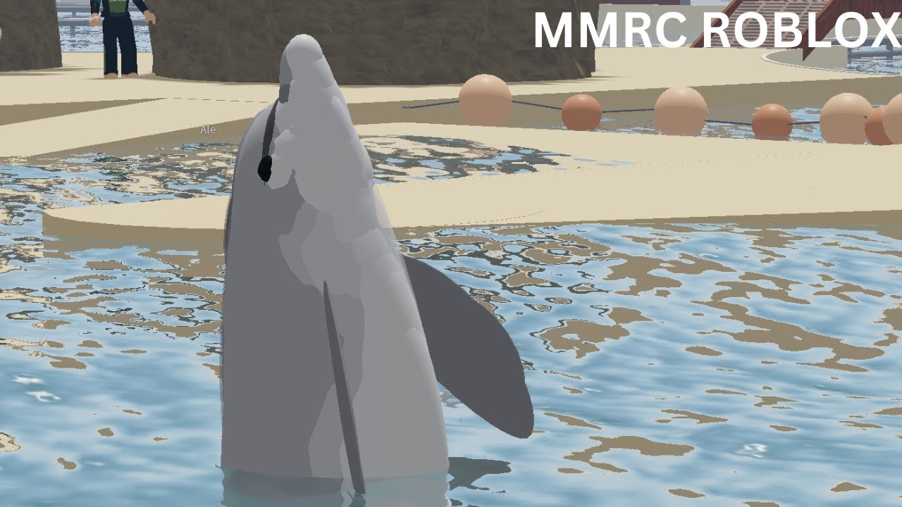 Dolphin Adventures | MMRC Roblox
