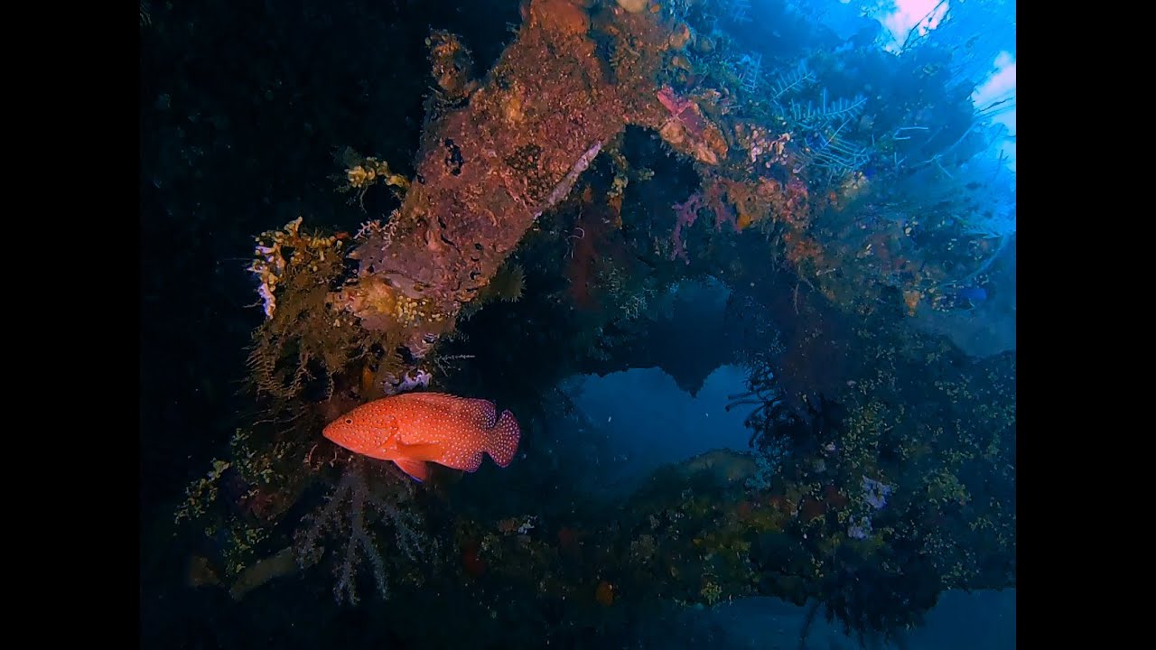USAT Liberty Wreck Night Dive / Indonesien / Bali /Tulamben   english description below