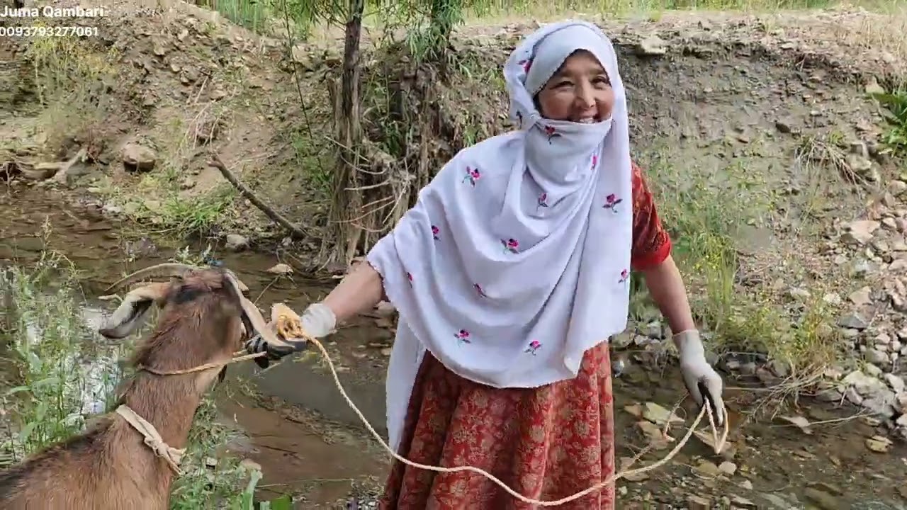 هزارگی : ولاگ دیگر ما از جریان مال (🐐🐏) شویی
