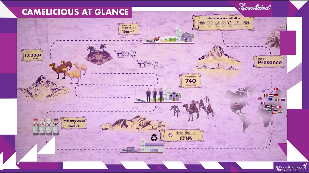 Camelicious at glance