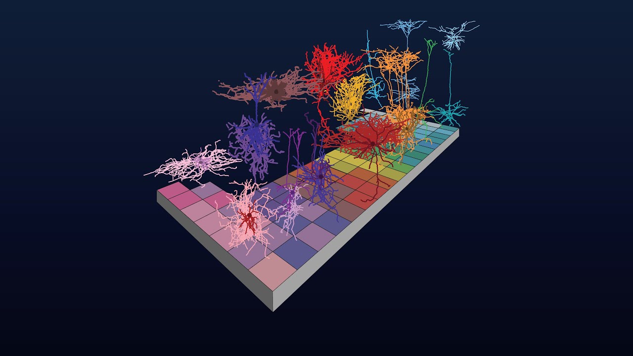 Cell Type Taxonomies A to Z: Introduction to ABC Atlas