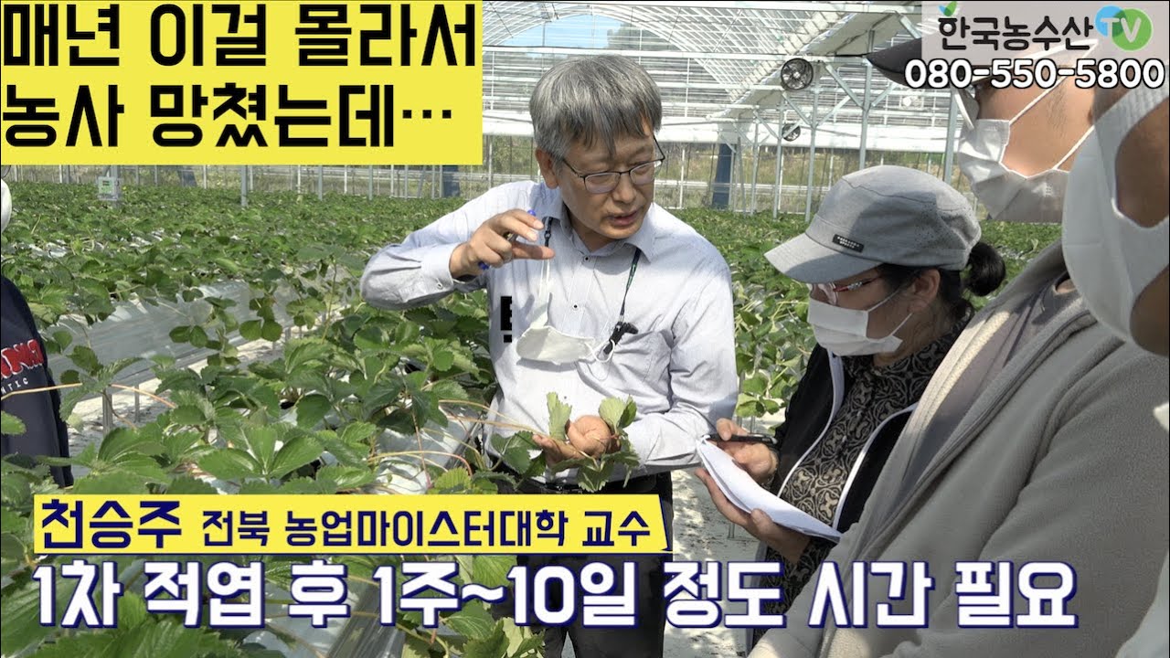 [한국농수산TV] 매년 이걸 몰라서 농사 망쳤는데...  피가되고 살이되는 천교수의 현장특강 !! 1부