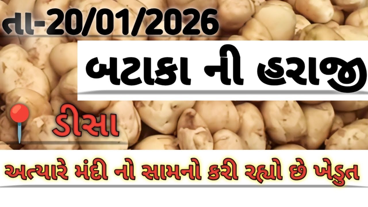 ડીસા બટાકા ની હરાજી//Deesa bataka ni haraji//आलु मंडी #deesa #new #viralvideo #trending #explor