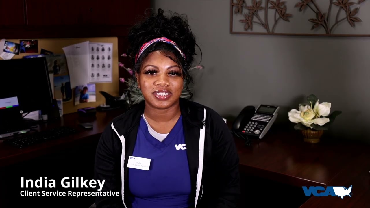 VCA West LA Recruitment Video